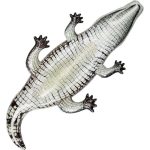 Cocodrilo Flotador 3