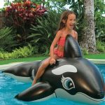 Flotador De Orca 4